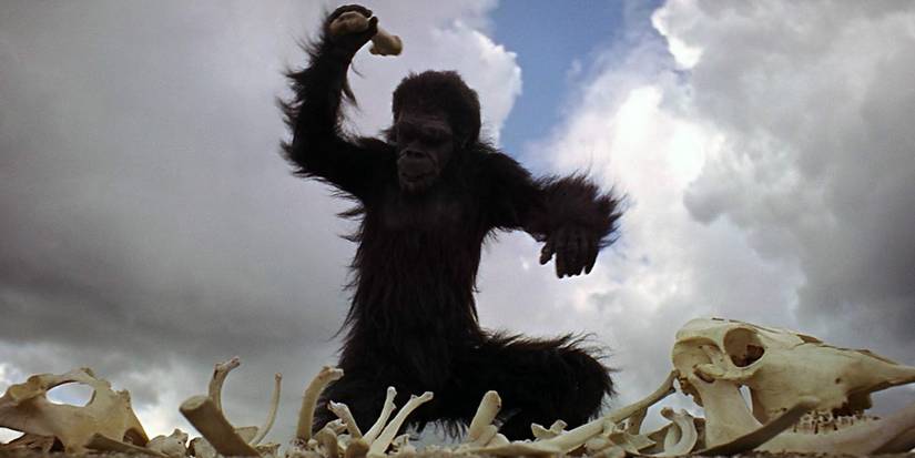 A neanderthal swinging a bone in 2001: A Space Odyssey
