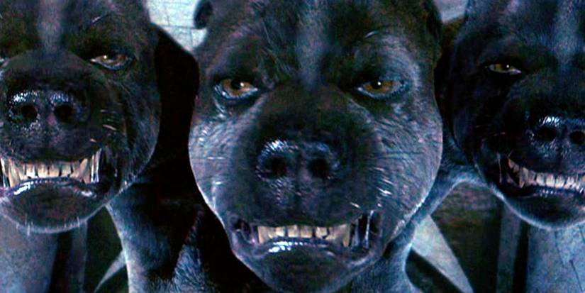 Fluffy the three-headed dog from Harry Potter. 