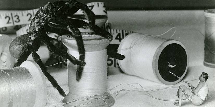 Incredible Shrinking Man
