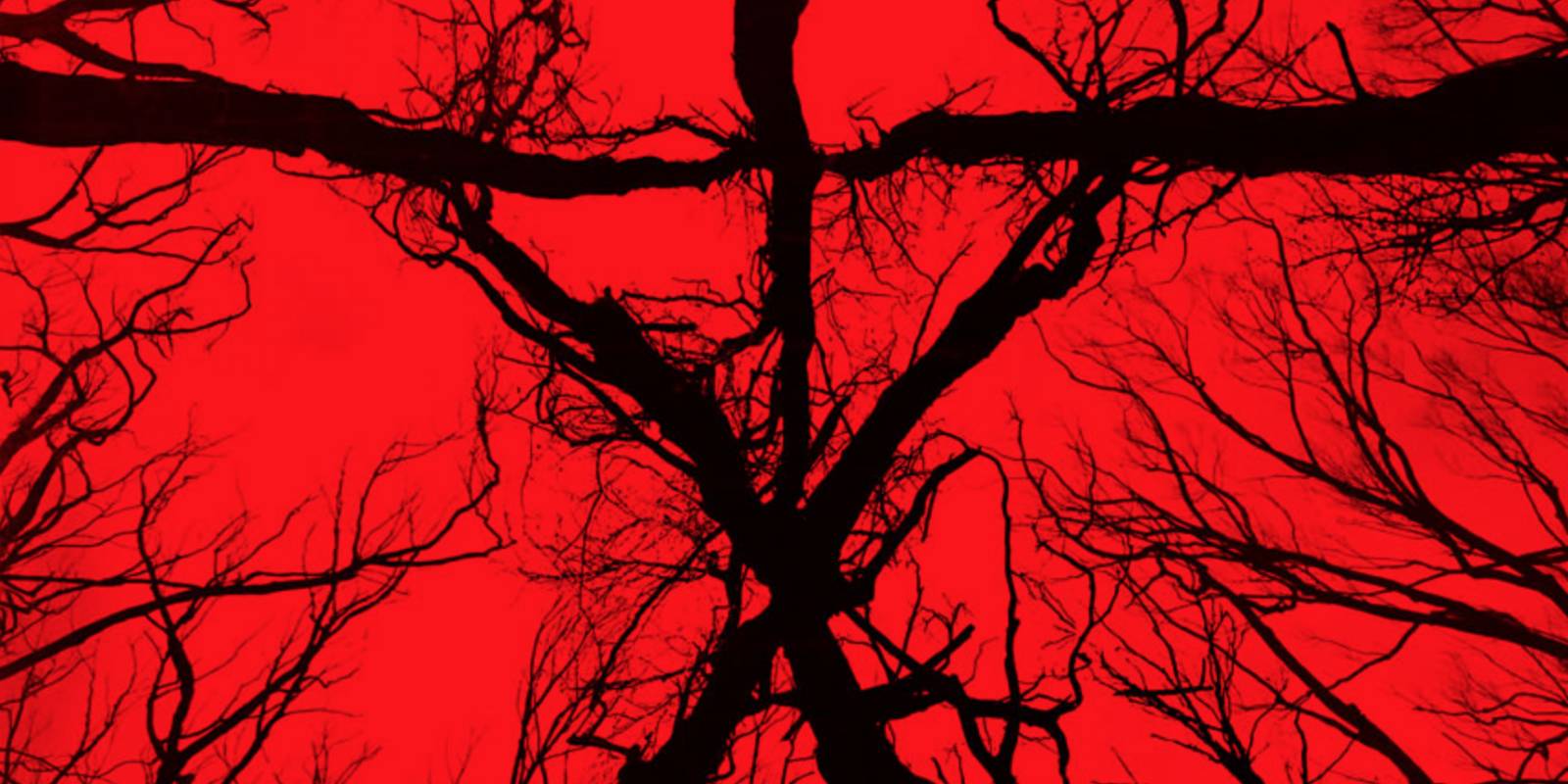 Blair Witch-Inspired Co-Op Horror Is 100% Free To Keep Until July 27 Blair Witch-Inspired Co-Op Horror Is 100% Free To Keep Until July 27