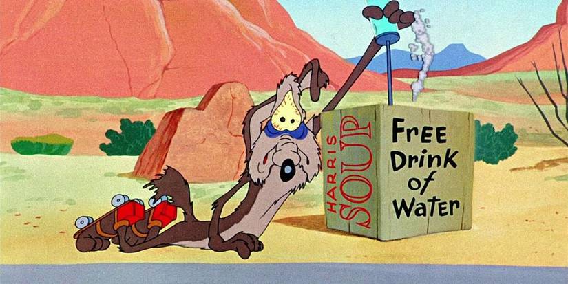 15 Things You Didn't Know About Wile E. Coyote