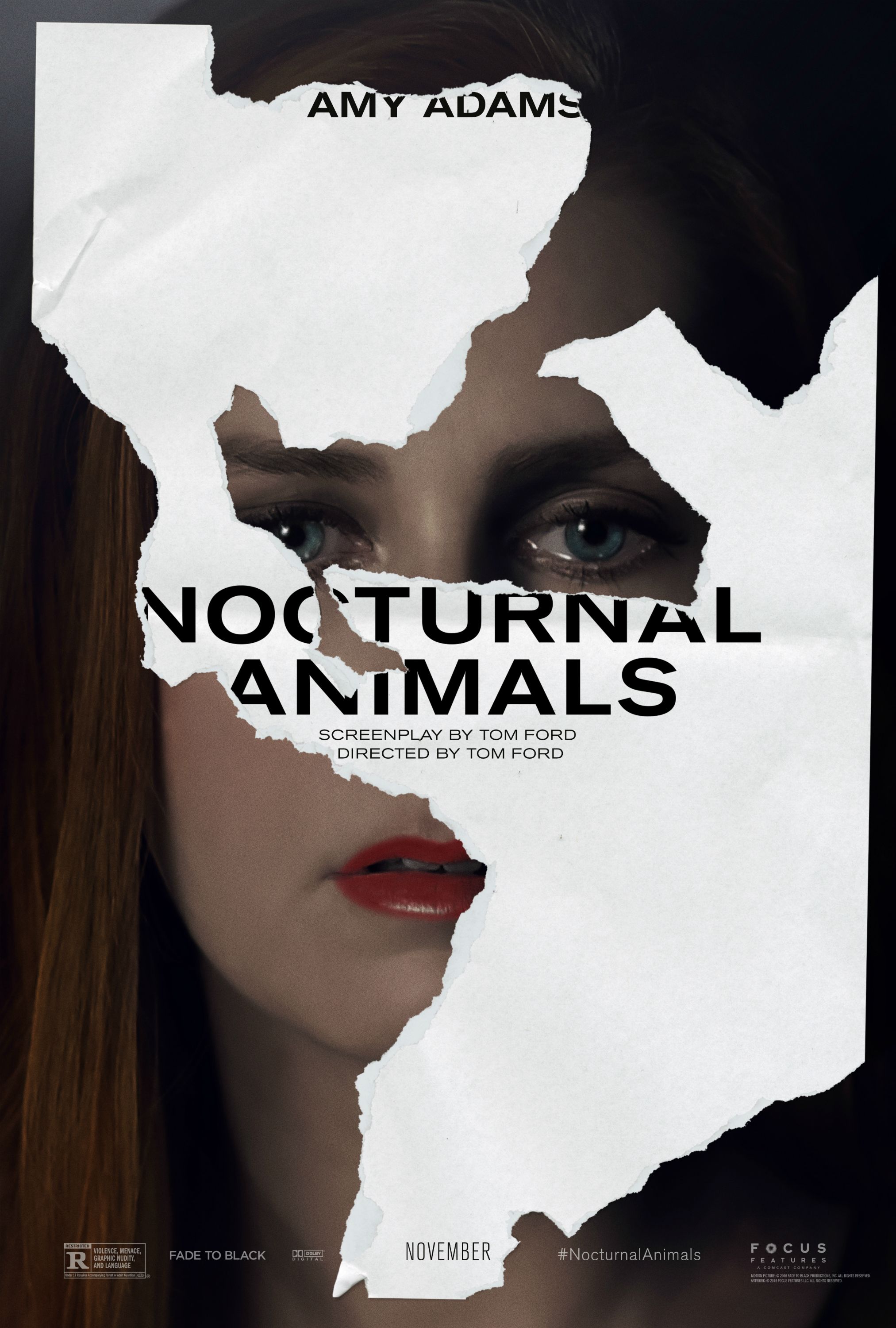 Nocturnal Animals (2016) | ScreenRant