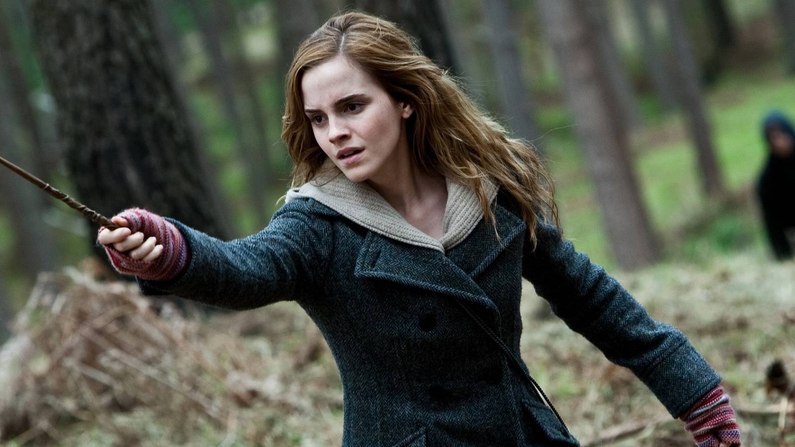 Best Harry Potter Scene From Lowest-Rated Movie On Rotten Tomatoes