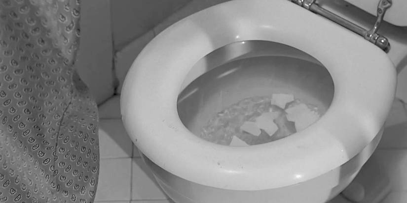 Psycho: 10 Hidden Details You Never Noticed In The Alfred Hitchcock ...