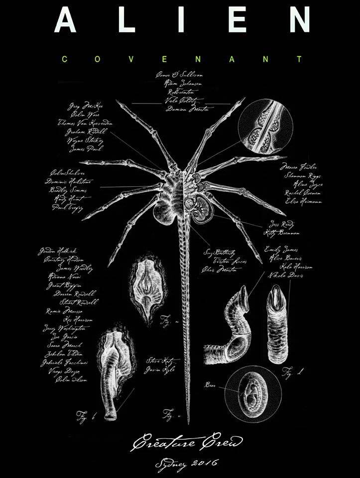 Alien Covenant Teaser Poster Time To Run Screen Rant