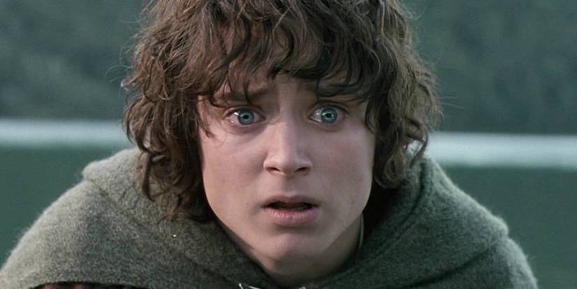 Lord of the Rings: The Fellowship, Ranked By Bravery