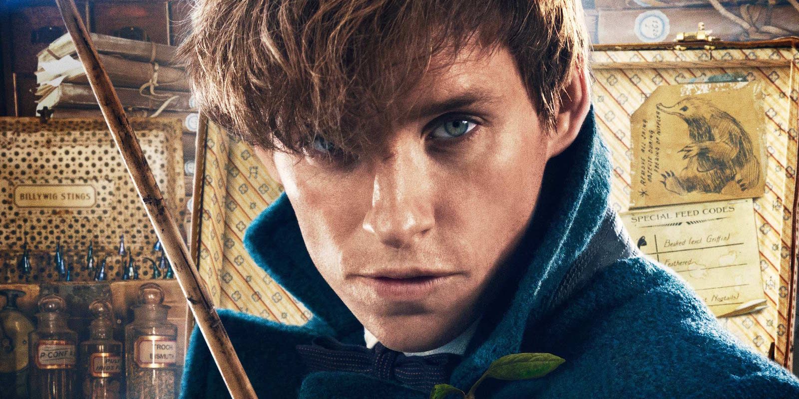 Fantastic Beasts Newt Scamander Backstory & Harry Potter Connections
