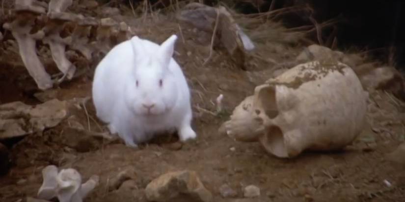 Monty Python And The Holy Grail's 10 Funniest Scenes