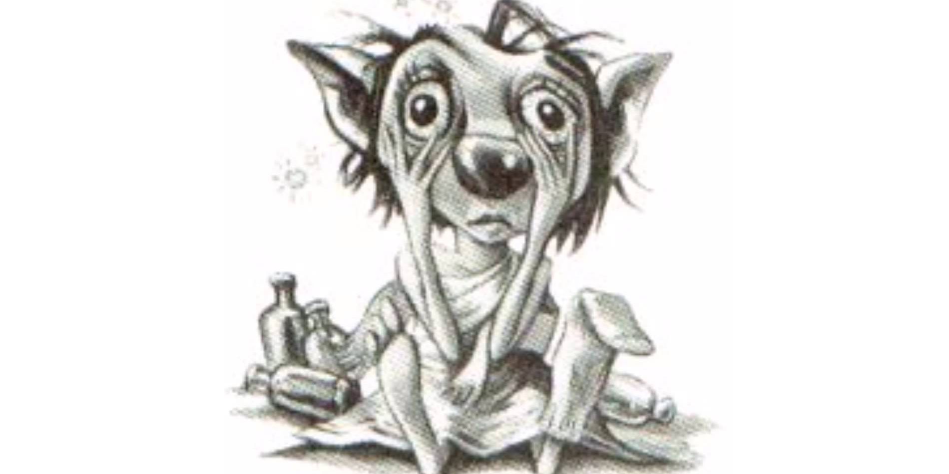 Harry Potter 15 Things You Never Knew About Dobby The HouseElf