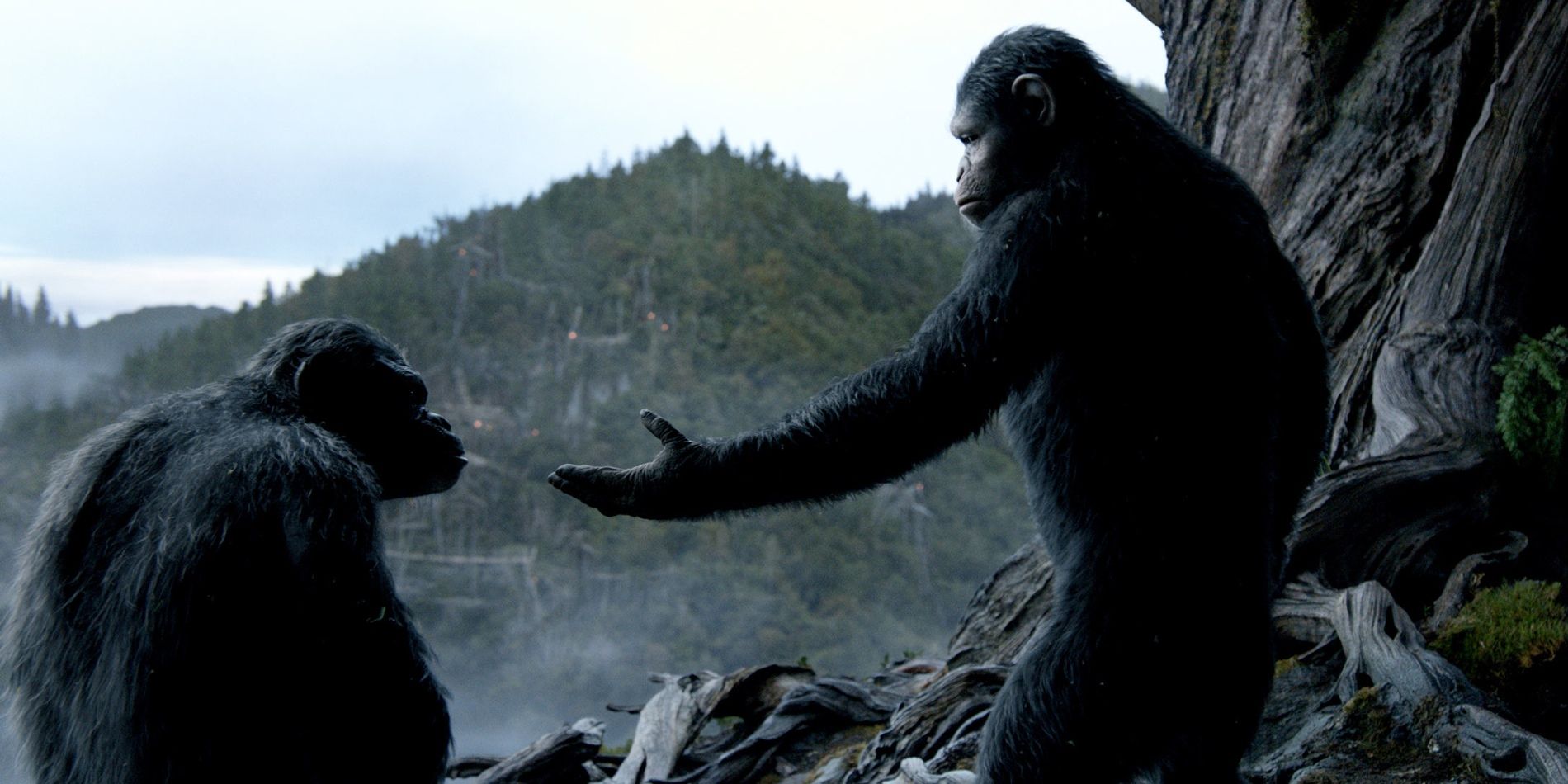 Every Planet Of The Apes Movie (Ranked By Metacritic)