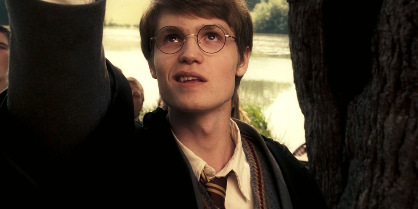 Harry Potter 10 Prominent Gryffindors Ranked By Likability