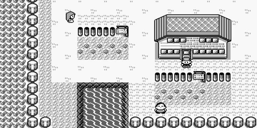 10 Most Important Nintendo Games Of All Time 4 Pokemon Red and Blue Pallet Town in its black and white form from the Game boy.
