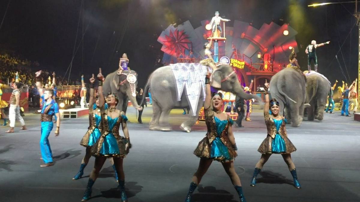 Ringling Bros. Circus Shutting Down after 146 years