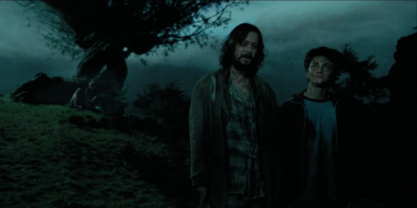 Sirius-Black-and-Harry-Potter How Old The Harry Potter Cast Was Compared To Their Characters