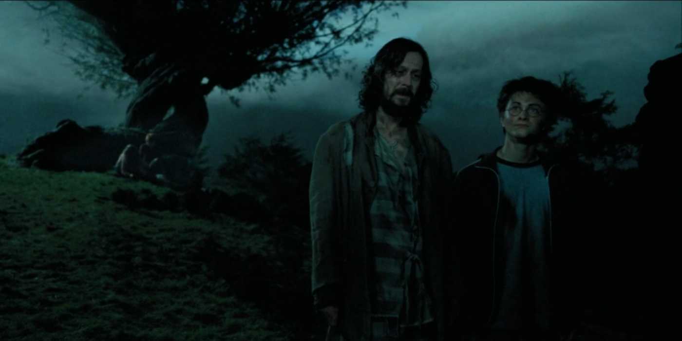 Sirius-Black-and-Harry-Potter How Old The Harry Potter Cast Was Compared To Their Characters
