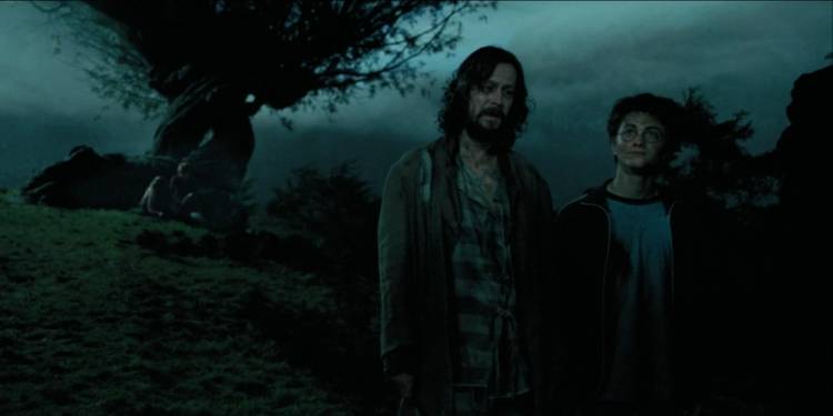 Sirius-Black-and-Harry-Potter How Old The Harry Potter Cast Was Compared To Their Characters