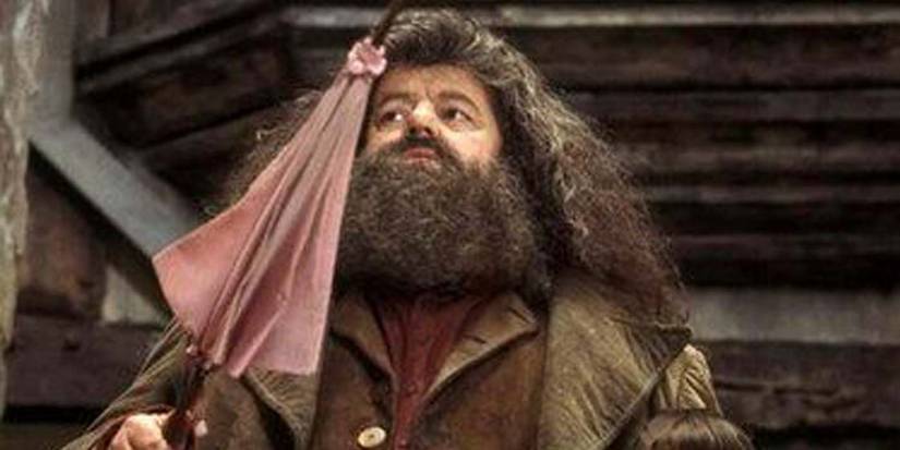 Robbie Coltrane as Hagrid holding his pink umbrella wand in Harry Potter and the Sorcerer's Stone