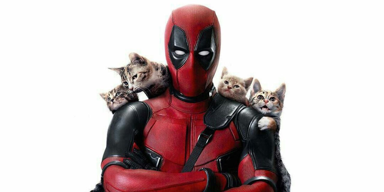 Deadpool’s top tips for protecting your testicles forecast Deadpool’s top tips for protecting your testicles advise