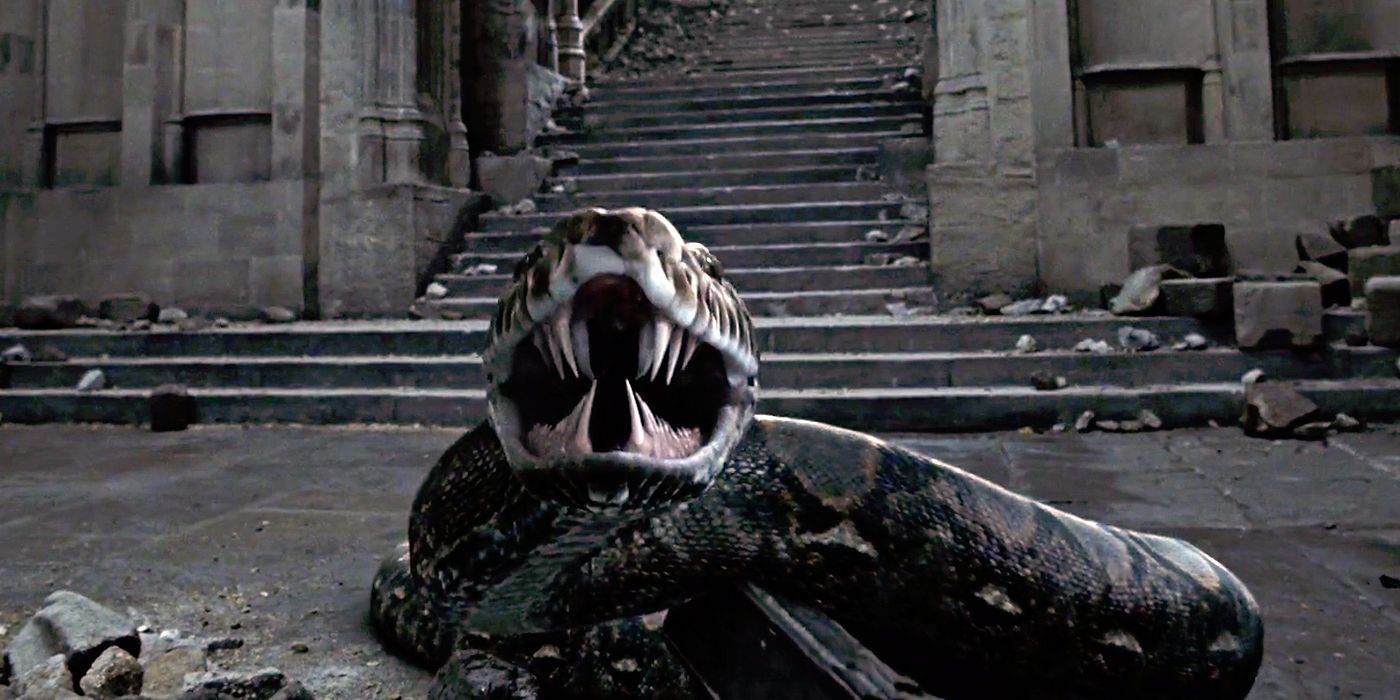 Fantastic Beasts 2 Fan Theory Predicts the Origin of Voldemorts Snake