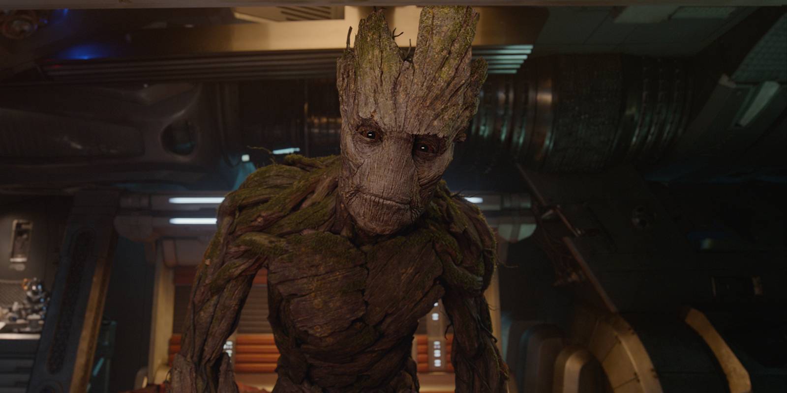 Groot Locked In Guardians of the Galaxy: Groot's Final Form