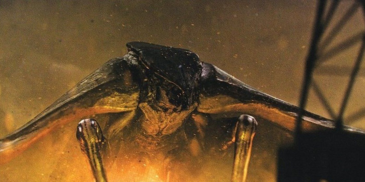 Все 10 способностей Годзиллы в MonsterVerse