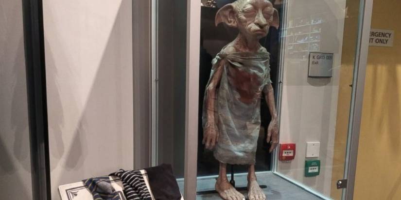 Dobby Stand Harry Potter: 20 Strange Details About Dobby’s Anatomy
