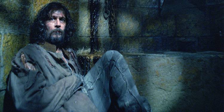 Gary-Oldman-as-Sirius-Black-in-Harry-Potter-and-the-Prisoner-of-Azkaban How Old The Harry Potter Cast Was Compared To Their Characters