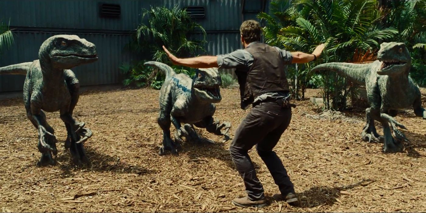 Chris Pratt trains Raptors in Jurassic World