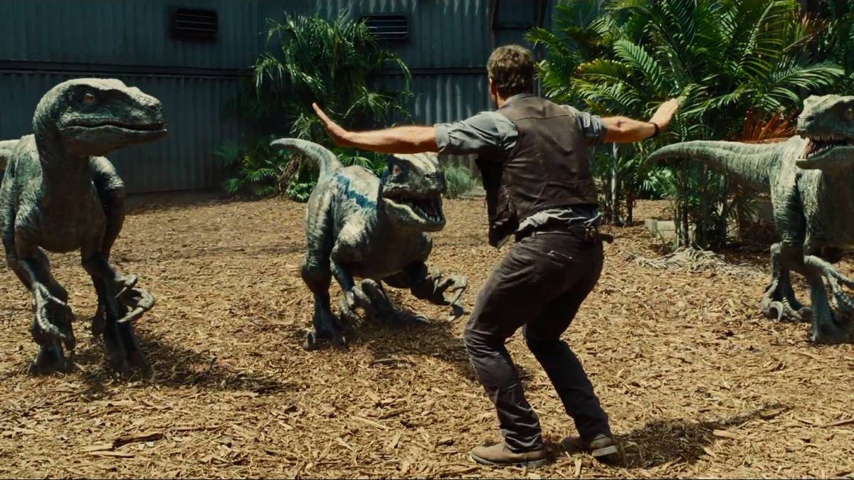 Chris Pratt trains Raptors in Jurassic World.