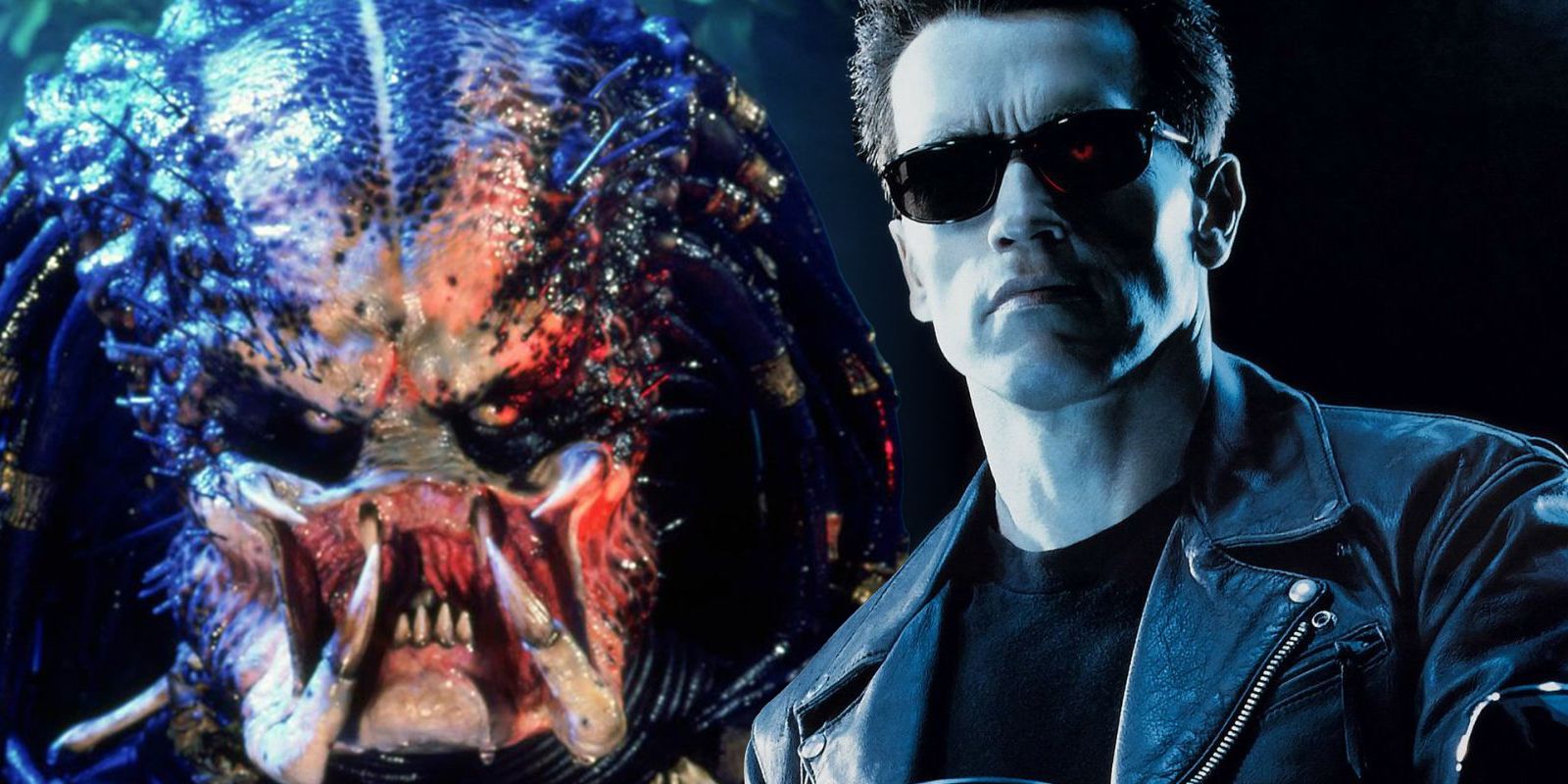 download terminator vs predator film