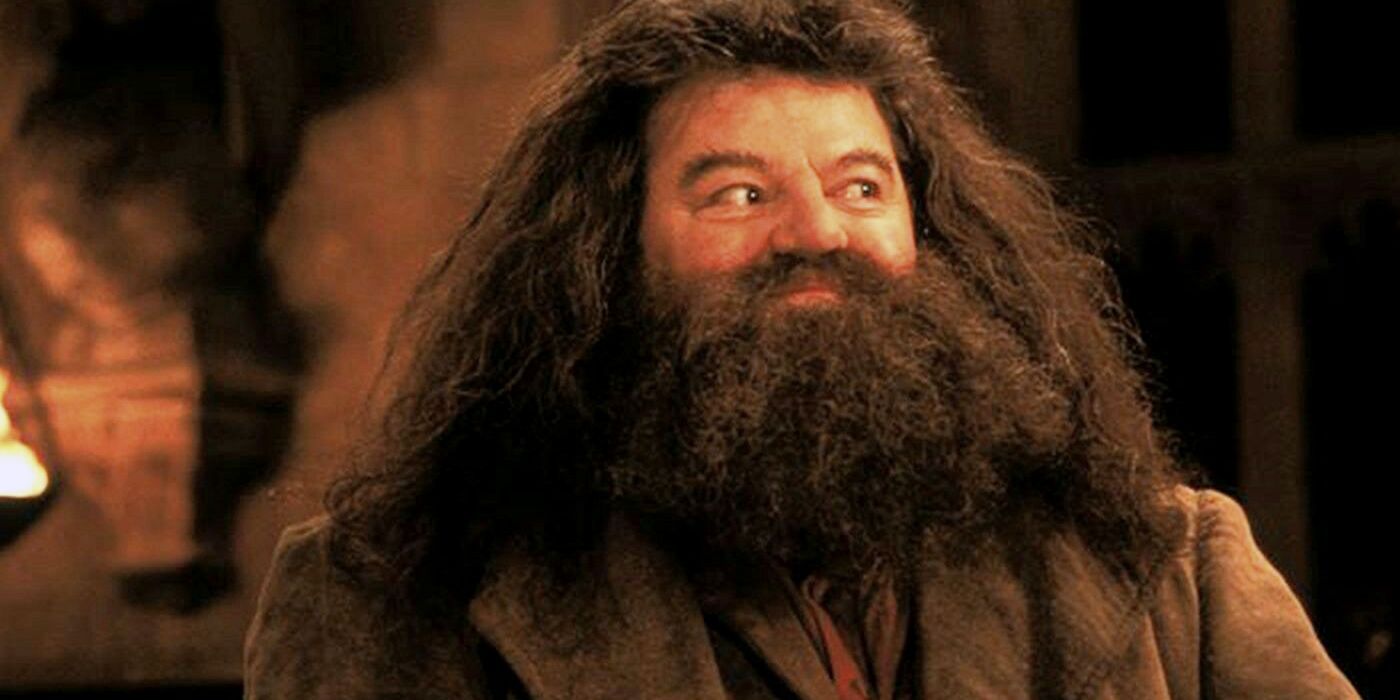 Harry Potter Hagrids 5 Best Traits (& 5 Worst)