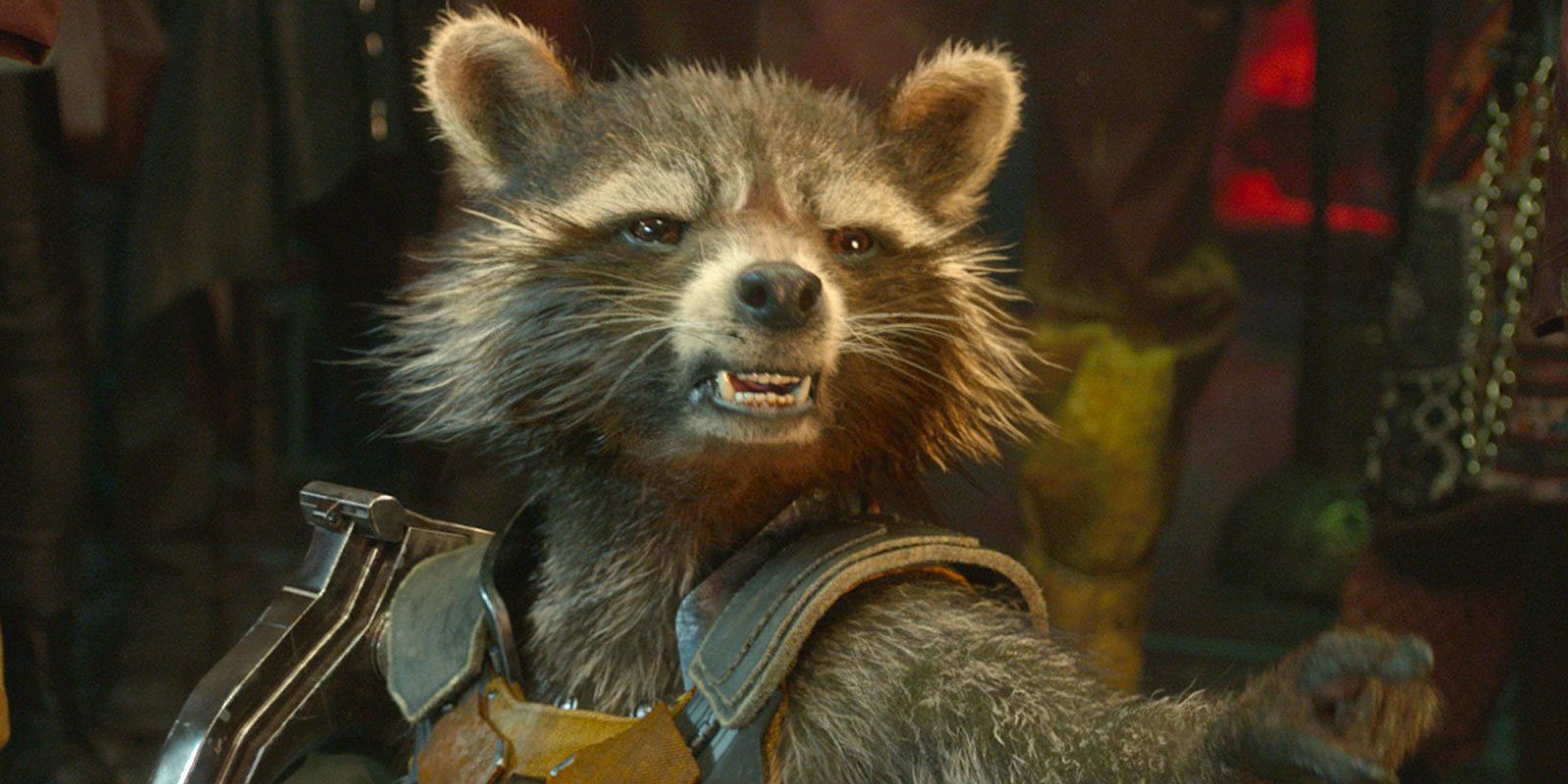 Avengers 3: Rocket Raccoon Doesn't Care For Superheroes