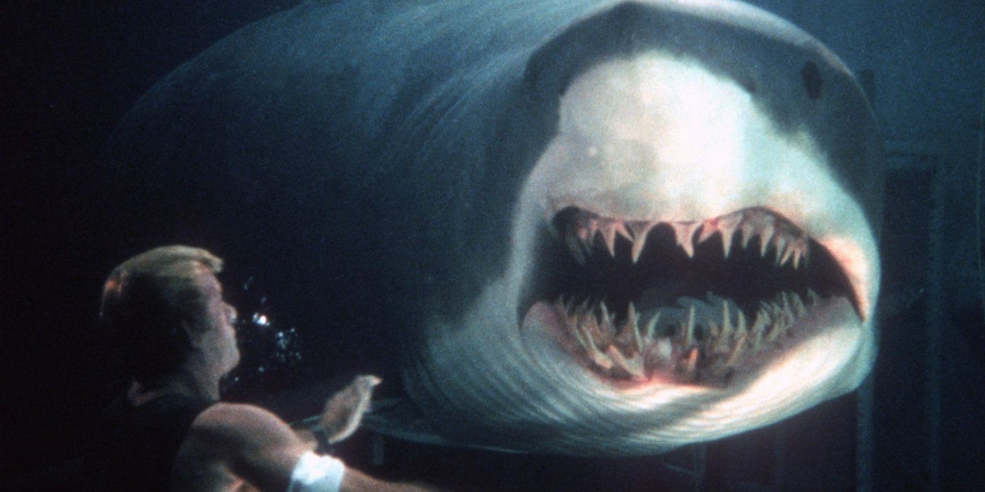 The 10 Best Killer Animal Movies Ranked 