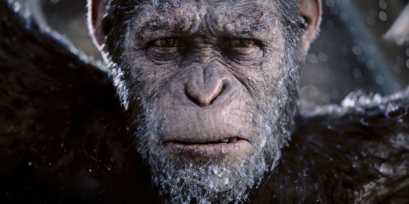 Was War For The Planet Of Apes A Box Office Hit Screenrant