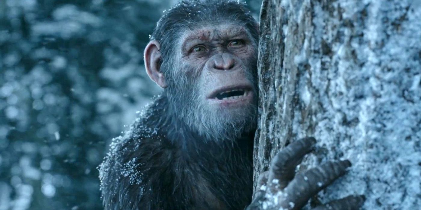 Kingdom Of The Planet Of The Apes Confirms The Franchise Is A One-Of-A-Kind For Hollywood