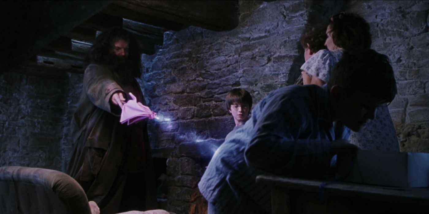 Harry Potter 10 Things About The Dursleys That Make No Sense
