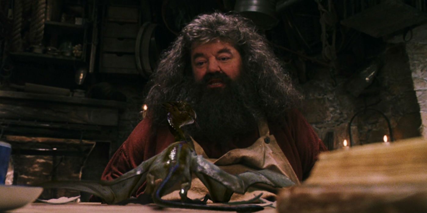 El remake de Harry Potter de HBO necesita arreglar el peor momento de Hagrid