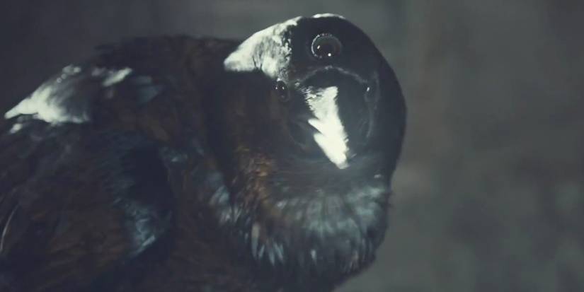 10 Facts About The Three Eyed Raven Game Of Thrones Leaves Out