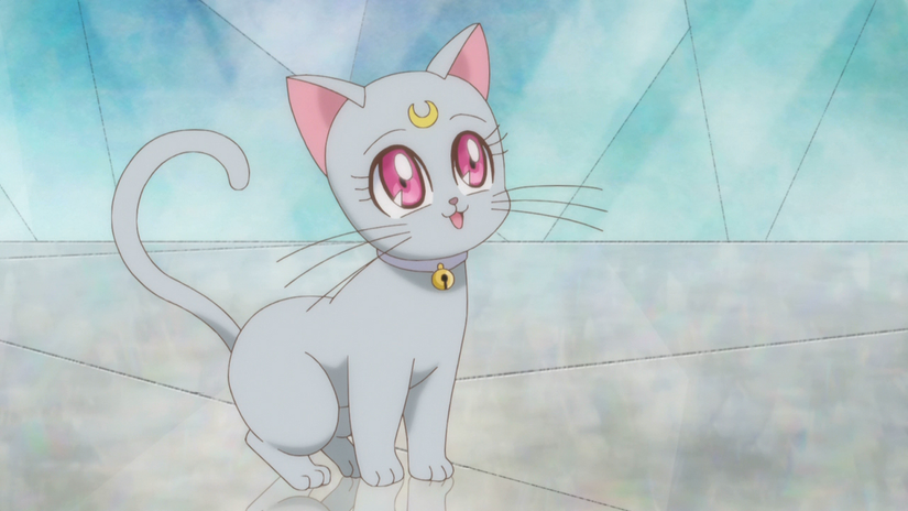 Sailor Moon: Facts About Mini Moon