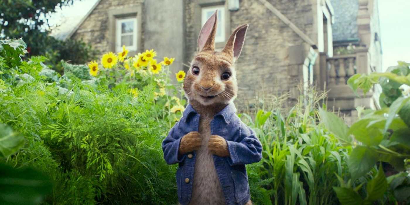 Peter Rabbit Riba Smith Every Daisy Ridley Movie, Ranked Worst To Best