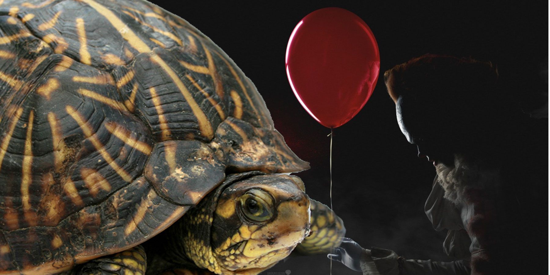 Stephen King’s IT: Why Maturin Is A Turtle