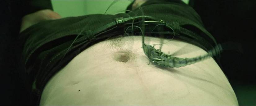 10 Best Terminator References (Outside The Franchise)