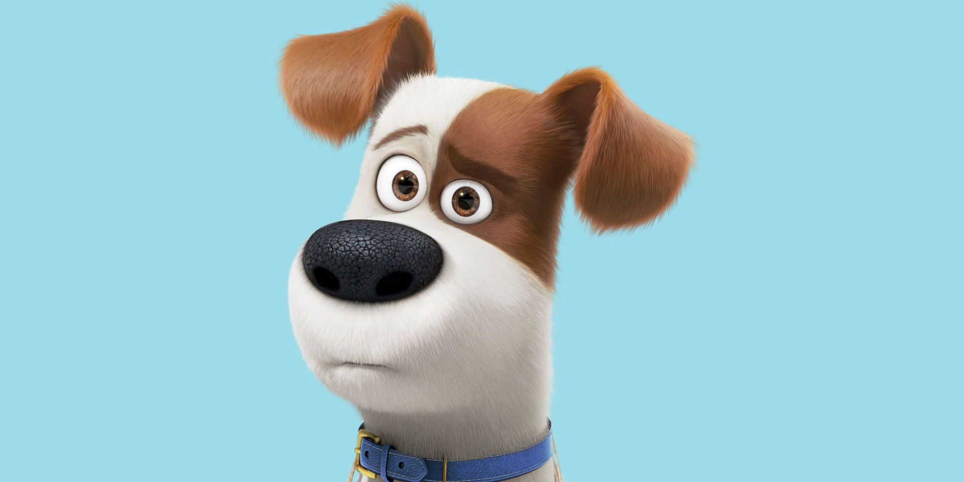 Universal Drops Louis C.K. From The Secret Life of Pets 2