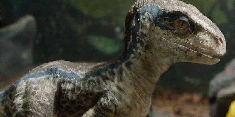 Owen Meets Baby Blue In Jurassic World 2 Trailer Teaser Owen Meets Baby Blue In Jurassic World 2 Trailer Teaser
