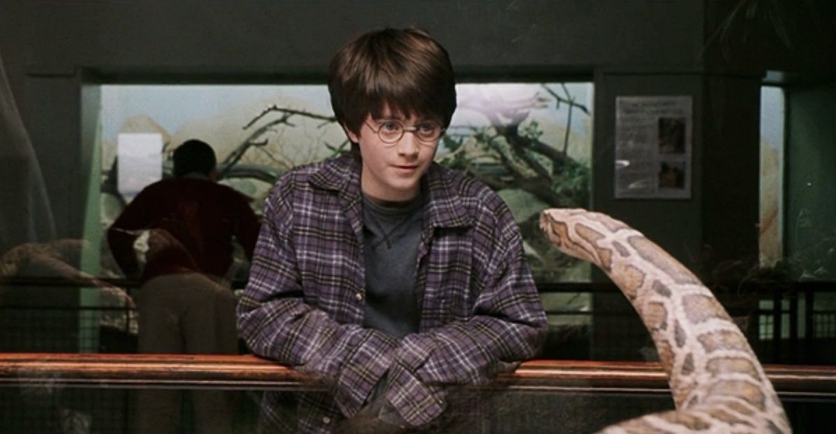 Harry Potter: 20 Things Harry And Ginny Did Between Deathly Hallows And ...