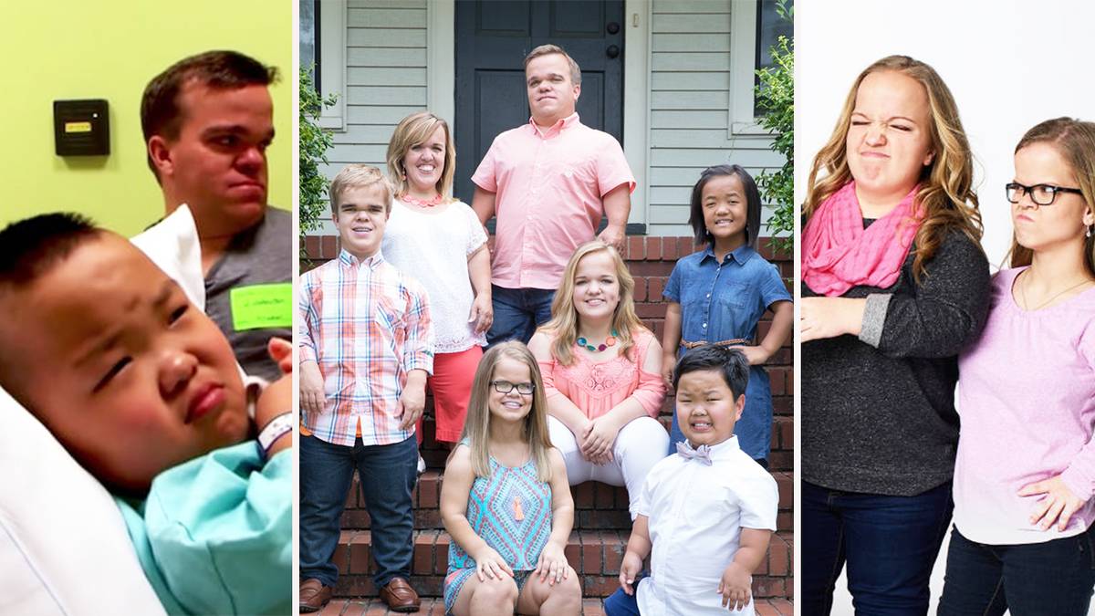 7 Little Johnstons