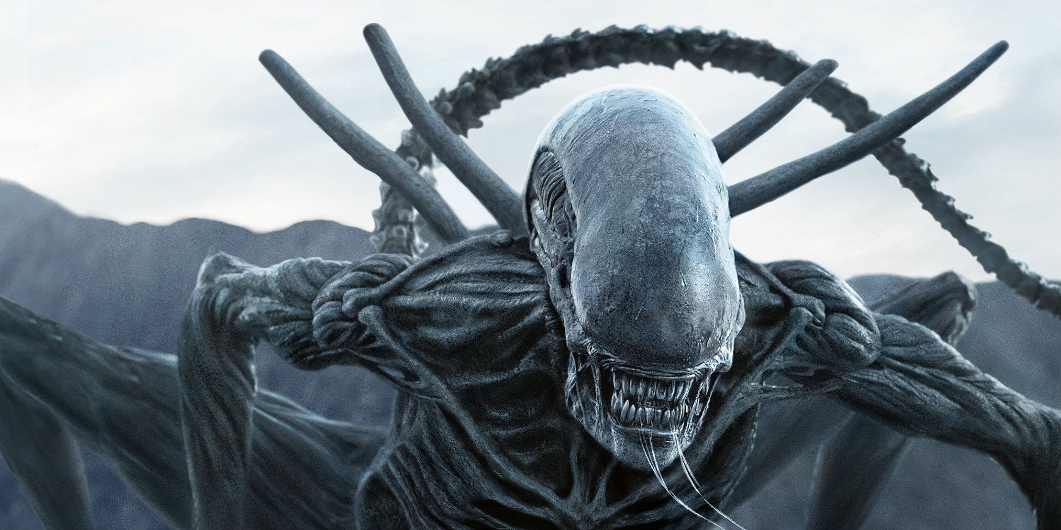 download avp xenomorph