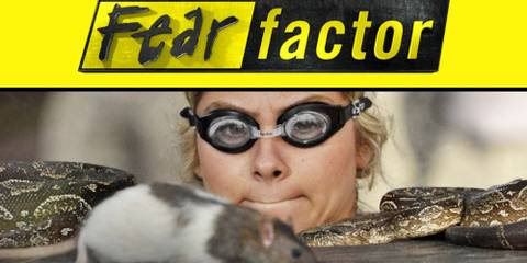 Fear Factor Summary, Trailer, Season List, Cast, Where to Watch and More
