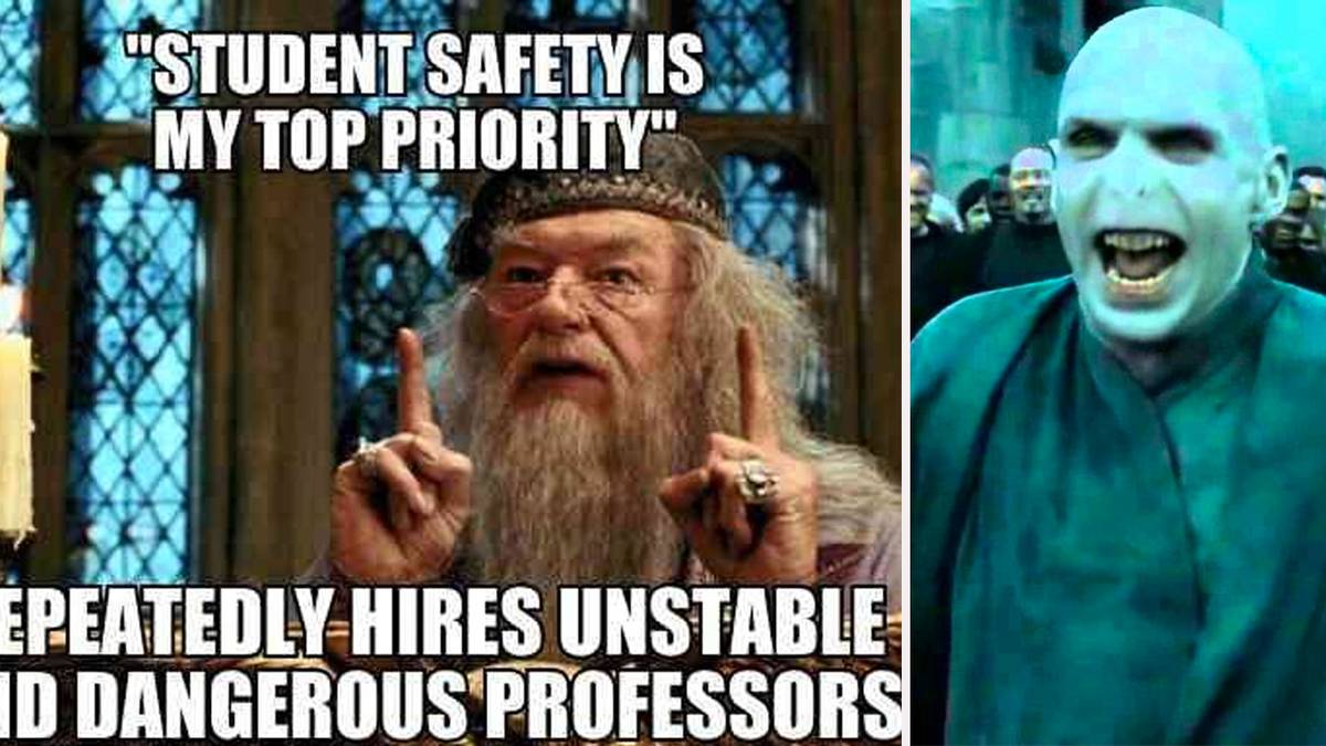 Delightful Animals\, image size:1200x675