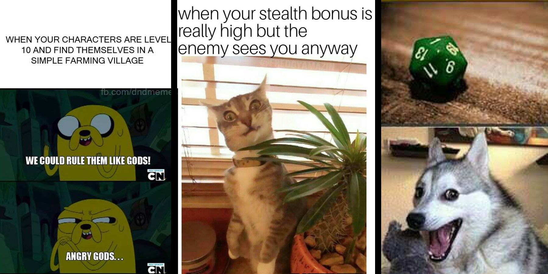 23 Hilarious Dungeons Dragons Memes Only Real Players Will Get